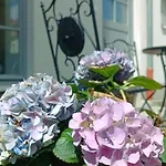 Filmap-apartments-zentrale Lage-boxspringbett-beamer-popcorn-gratis Parkplatz Daire *