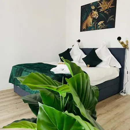 شقة Filmap-apartments-zentrale Lage-boxspringbett-beamer-popcorn-gratis Parkplatz *