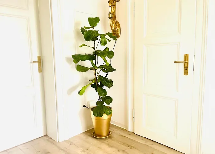 Filmap-apartments-zentrale Lage-boxspringbett-beamer-popcorn-gratis Parkplatz Appartement